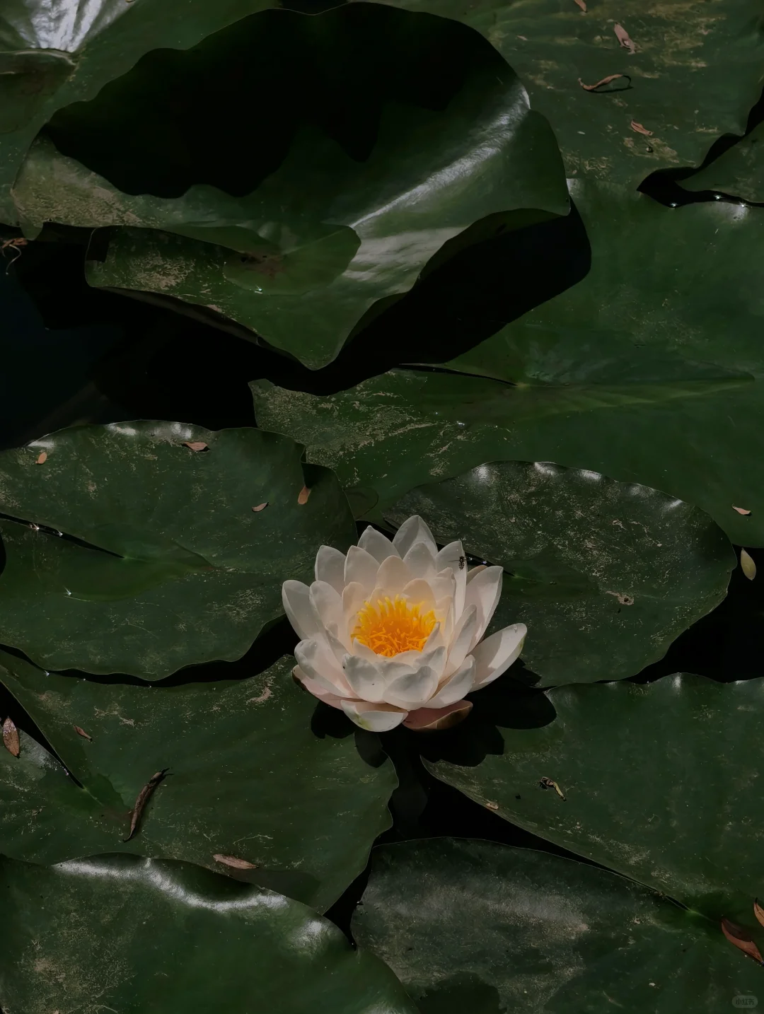 石家庄|爬山玩水避暑胜地