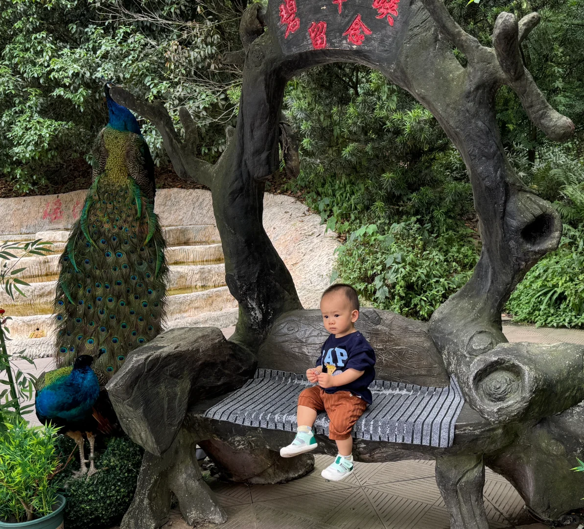 碧峰峡会惩罚每一个不做攻略的家长!