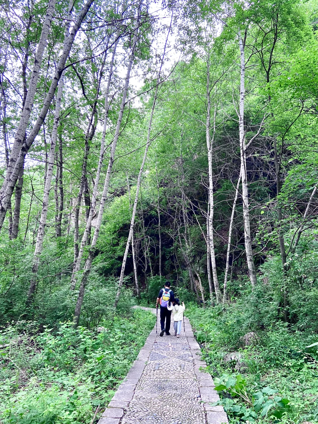 18°C的石家庄，岂止是避暑