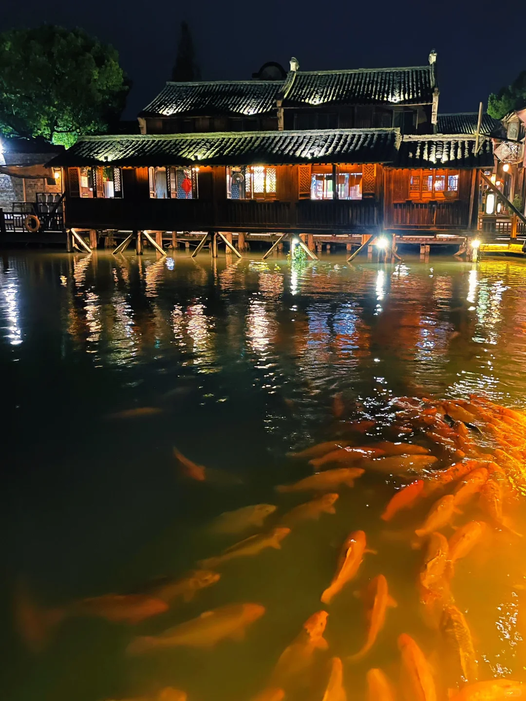 日与夜的双面乌镇