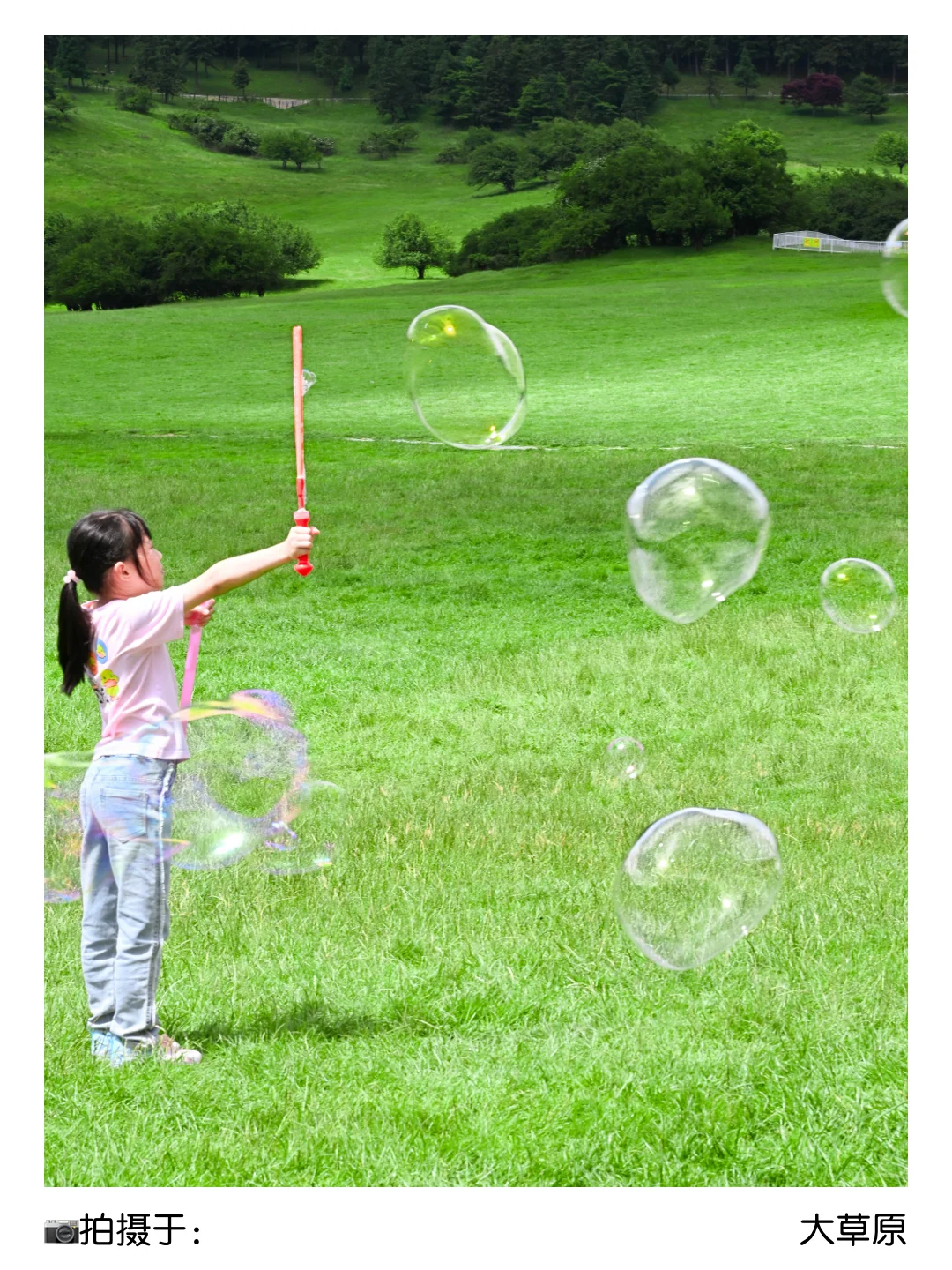 二孃叫我📣暑假来重庆避暑？