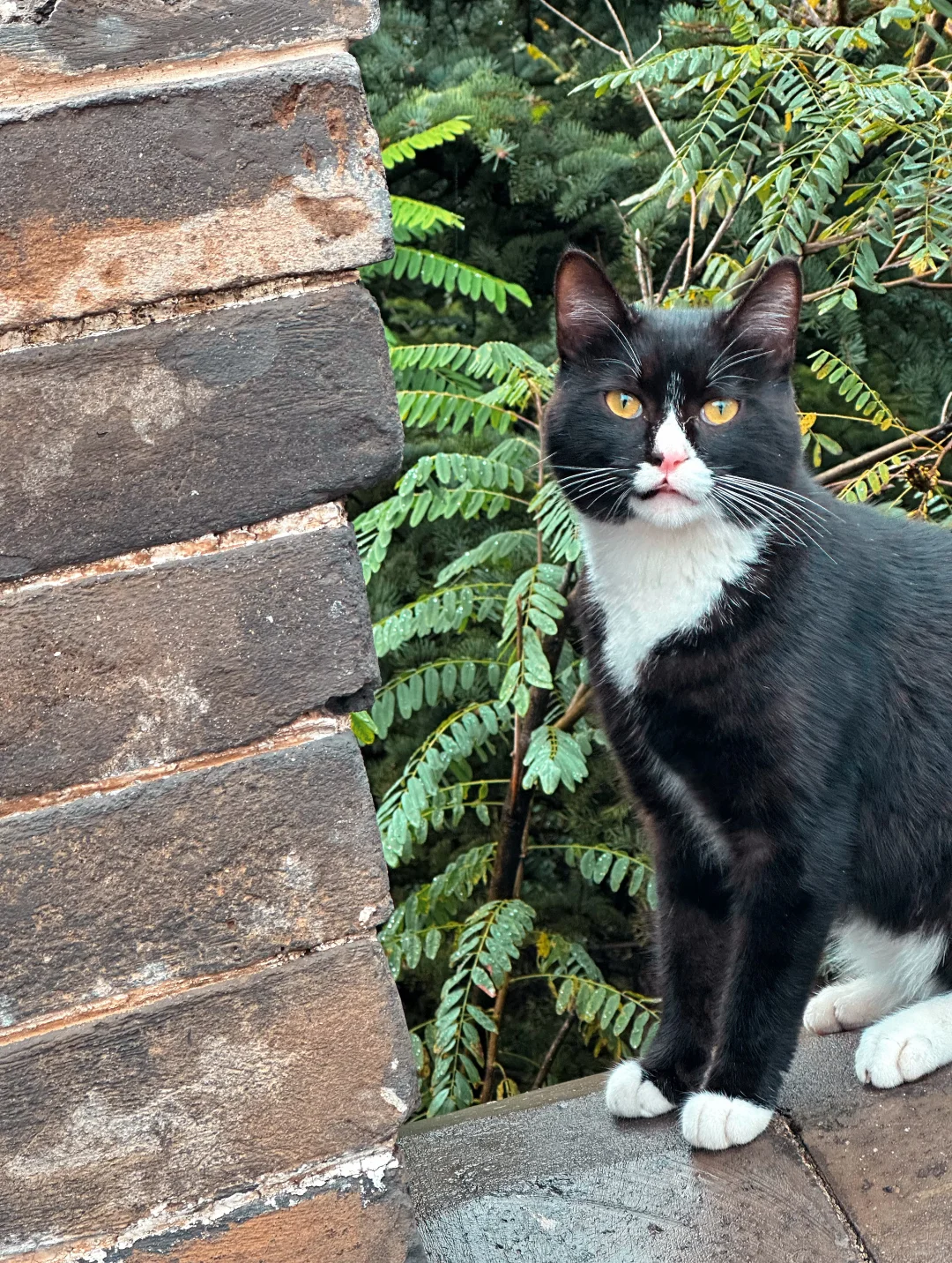 避雷❗第一次来雁门关，直接复制这条路线