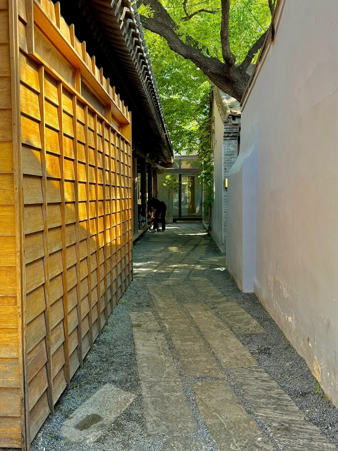 迄今为止最震撼的一条Citywalk路线出现了！