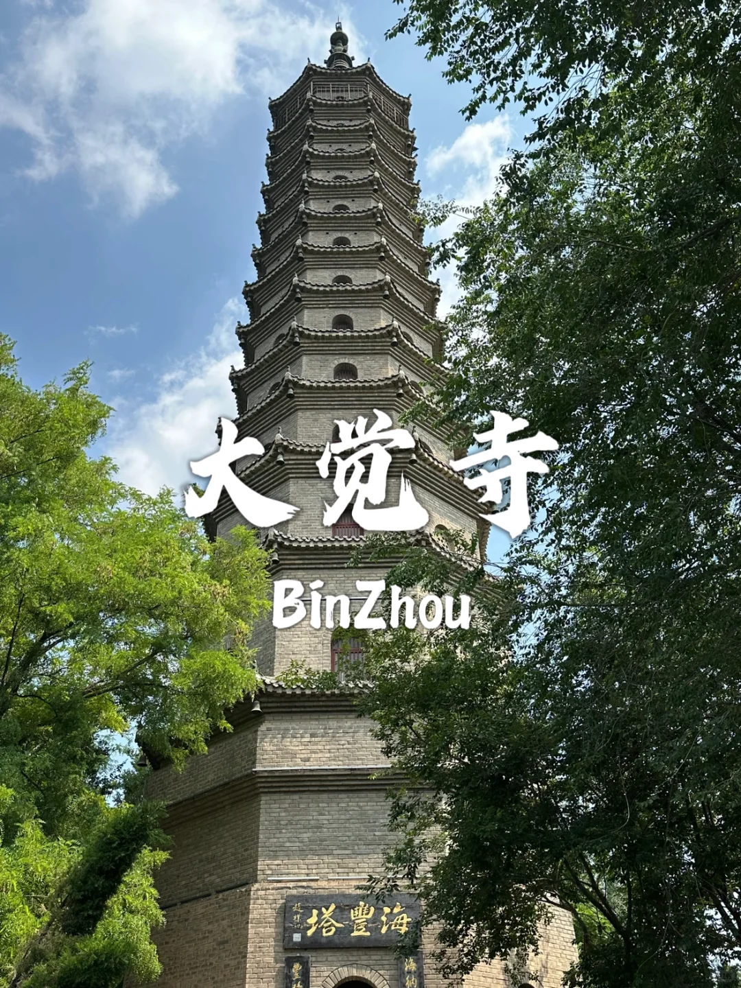 滨州不能错过的九个宝藏打卡地~