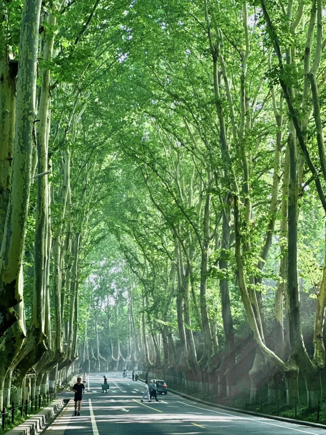 7、8、9月来南京旅游不看这篇攻略‼小心被宰🤬