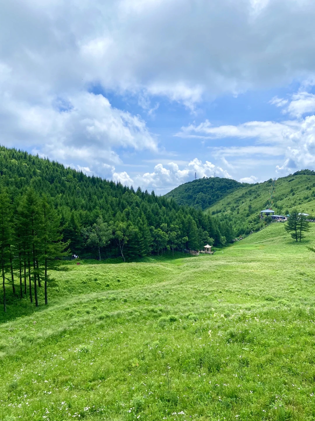 18°C的石家庄，岂止是避暑