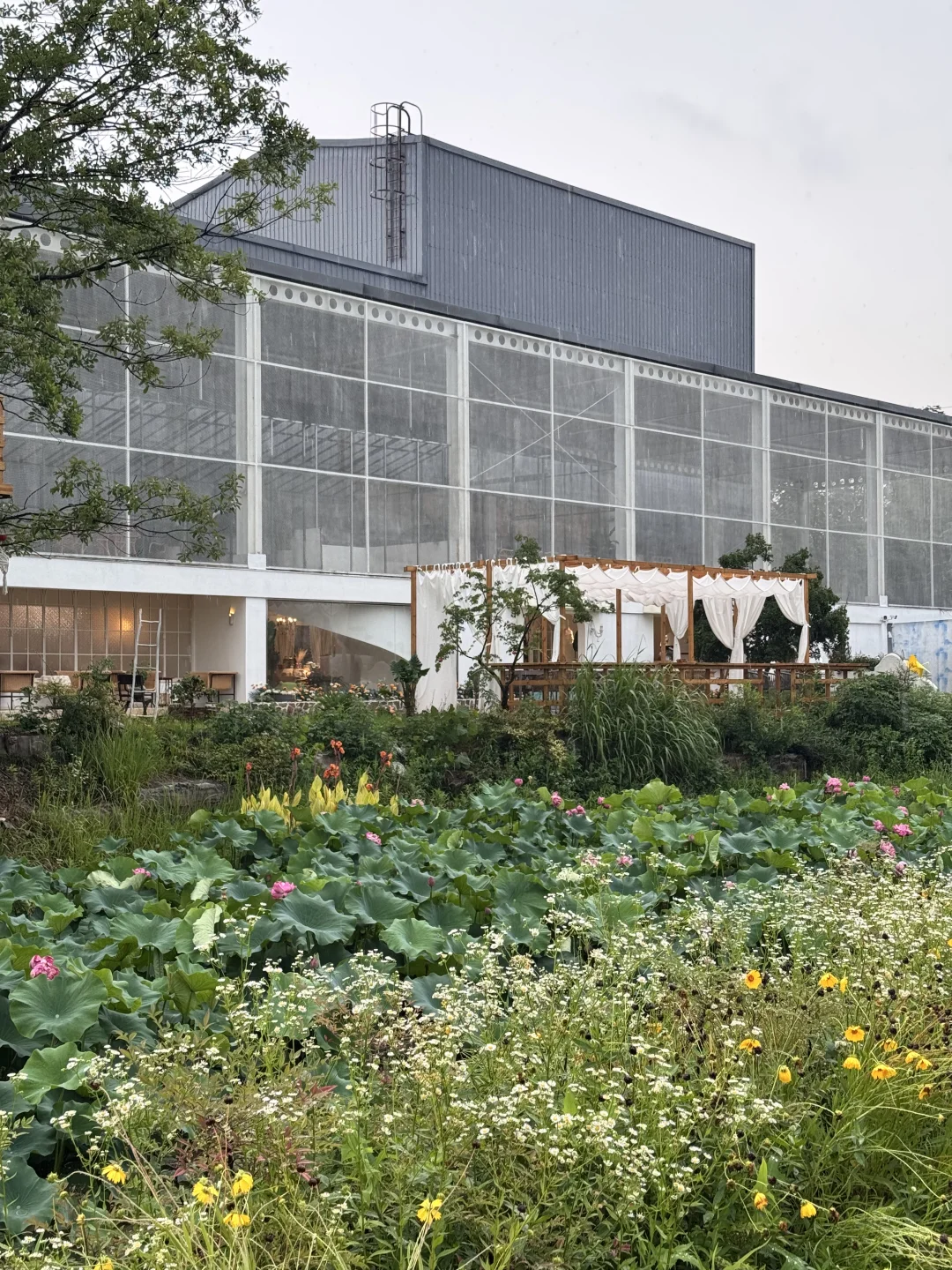 溧阳加顺农场一日农场主攻略🧑‍🌾