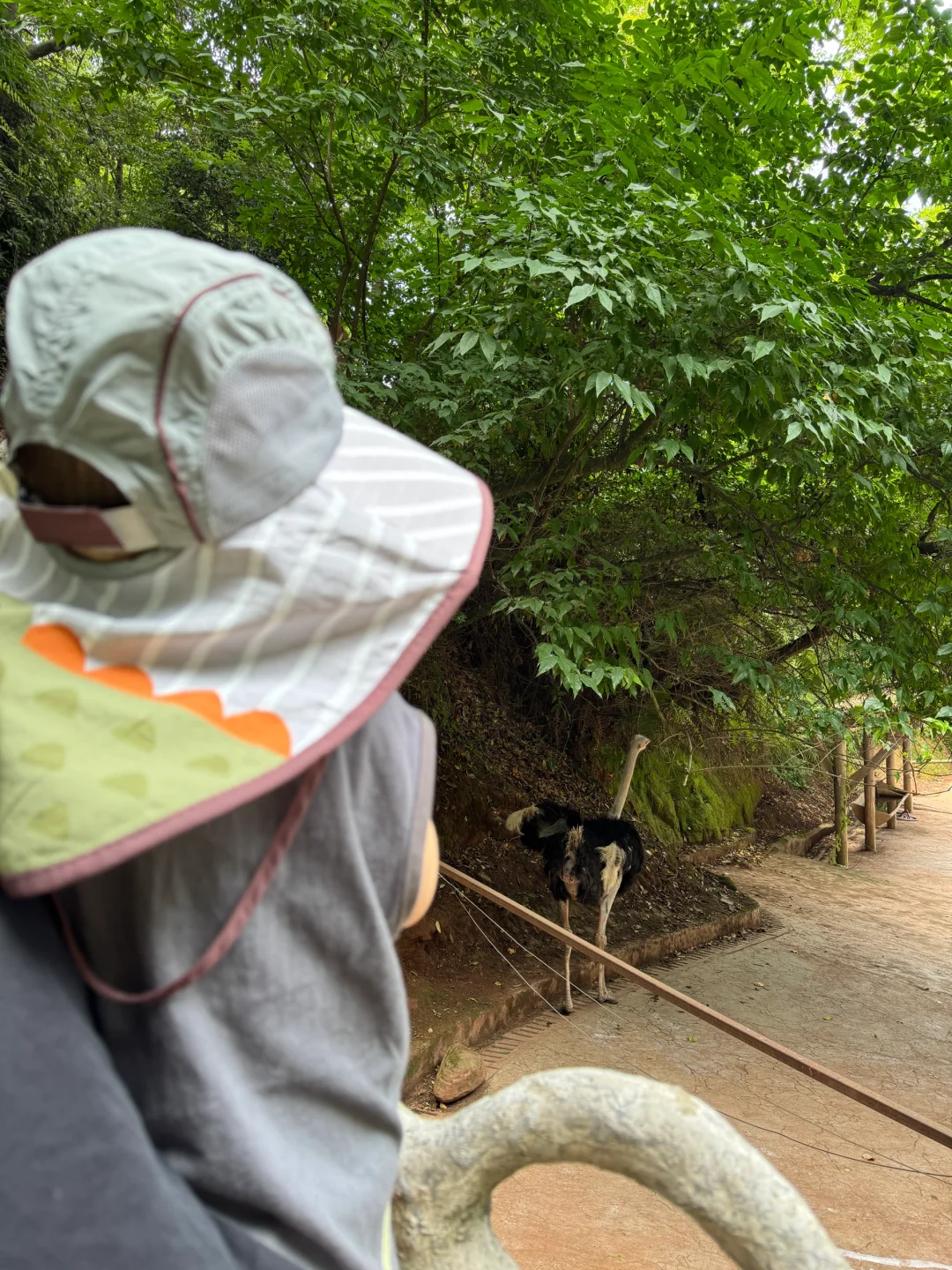 碧峰峡会惩罚每一个不做攻略的家长!