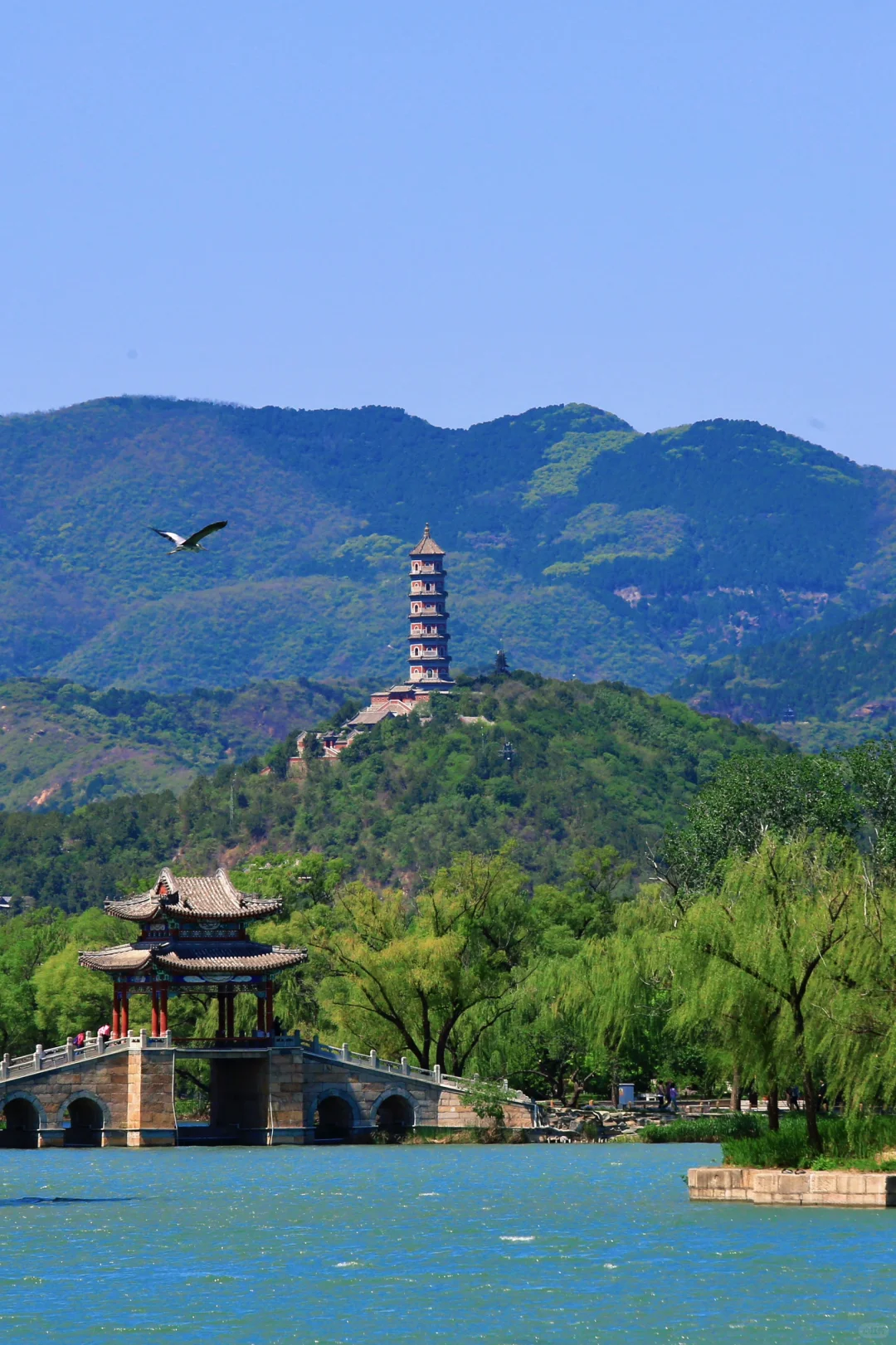 颐和园，太美了。