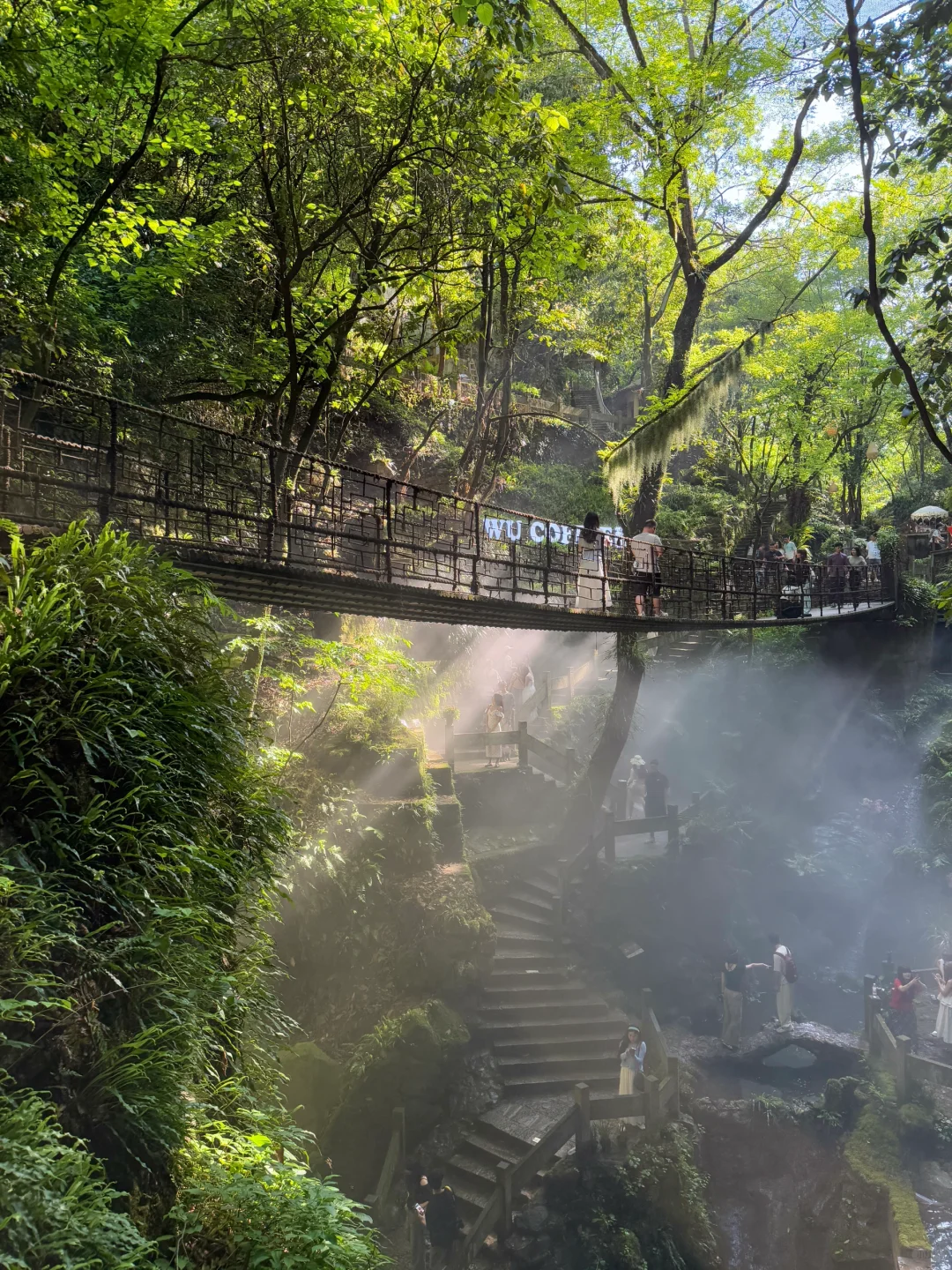 小红书跟风zui成功的一次🍃！！！