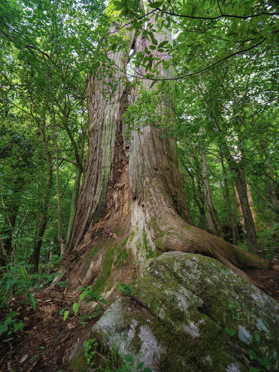 我很少用震撼来形容一个地方!!!