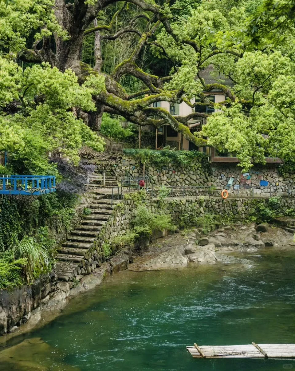 03女大📍桐庐/两天一夜精华版旅游攻略‼️