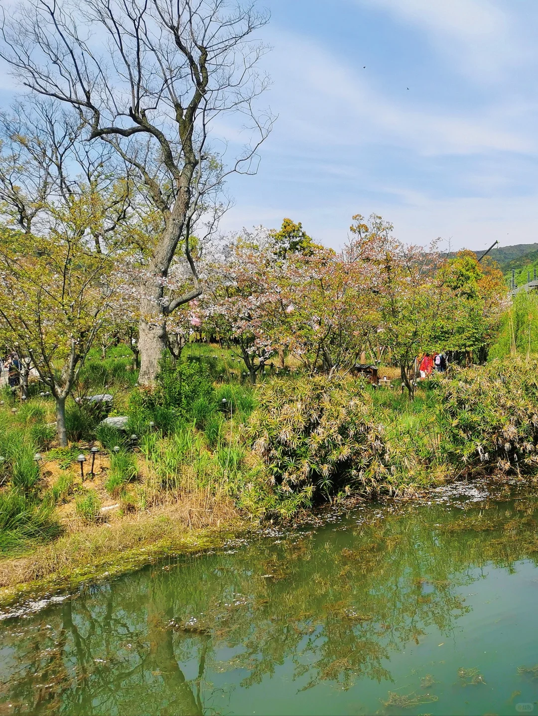 拈花湾，一个能让心栖息的地方