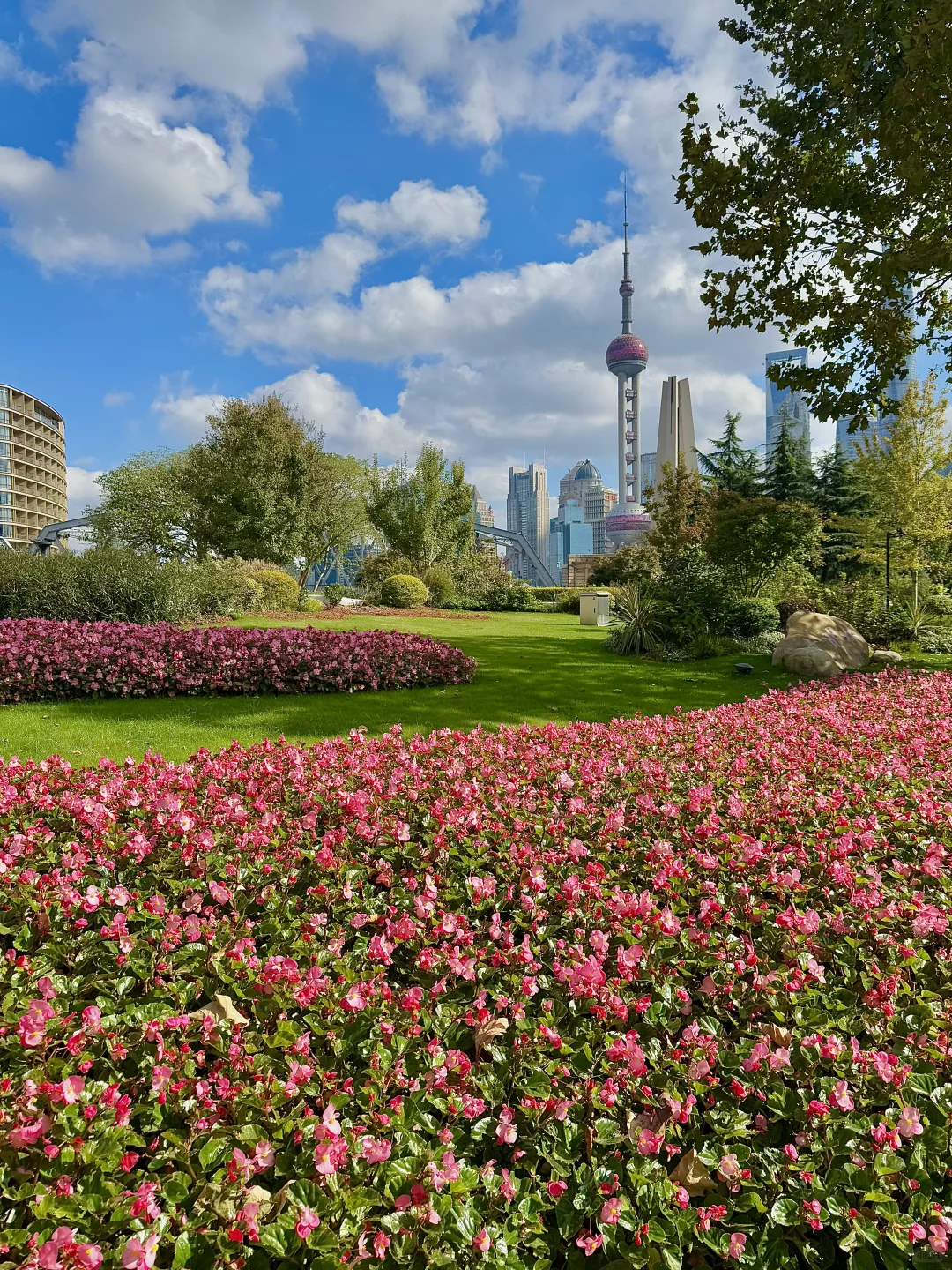 J人对自己的上海攻略满意的睡不着……