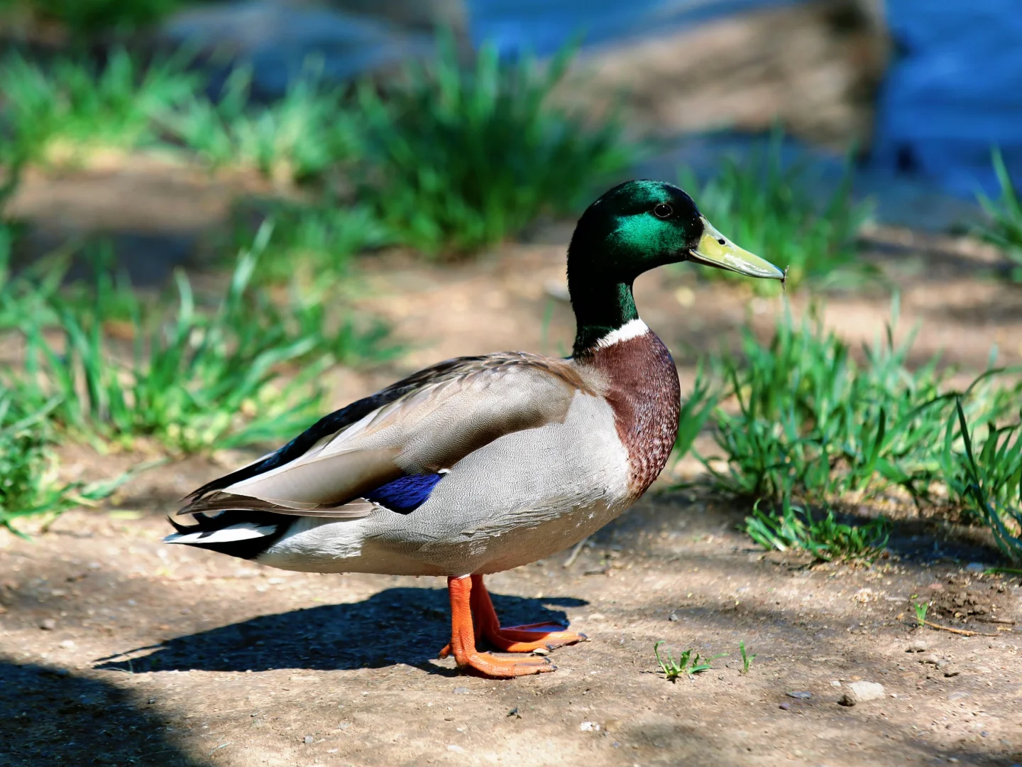 颐和园，太美了。