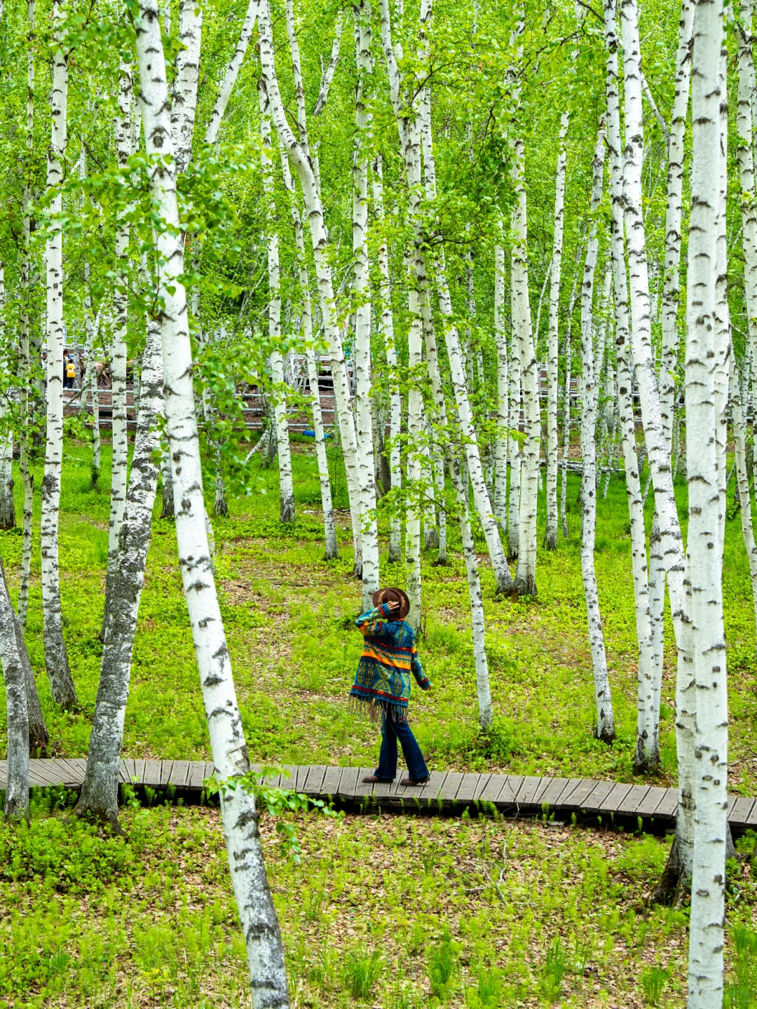 暑假的呼伦贝尔简直是人间理想
