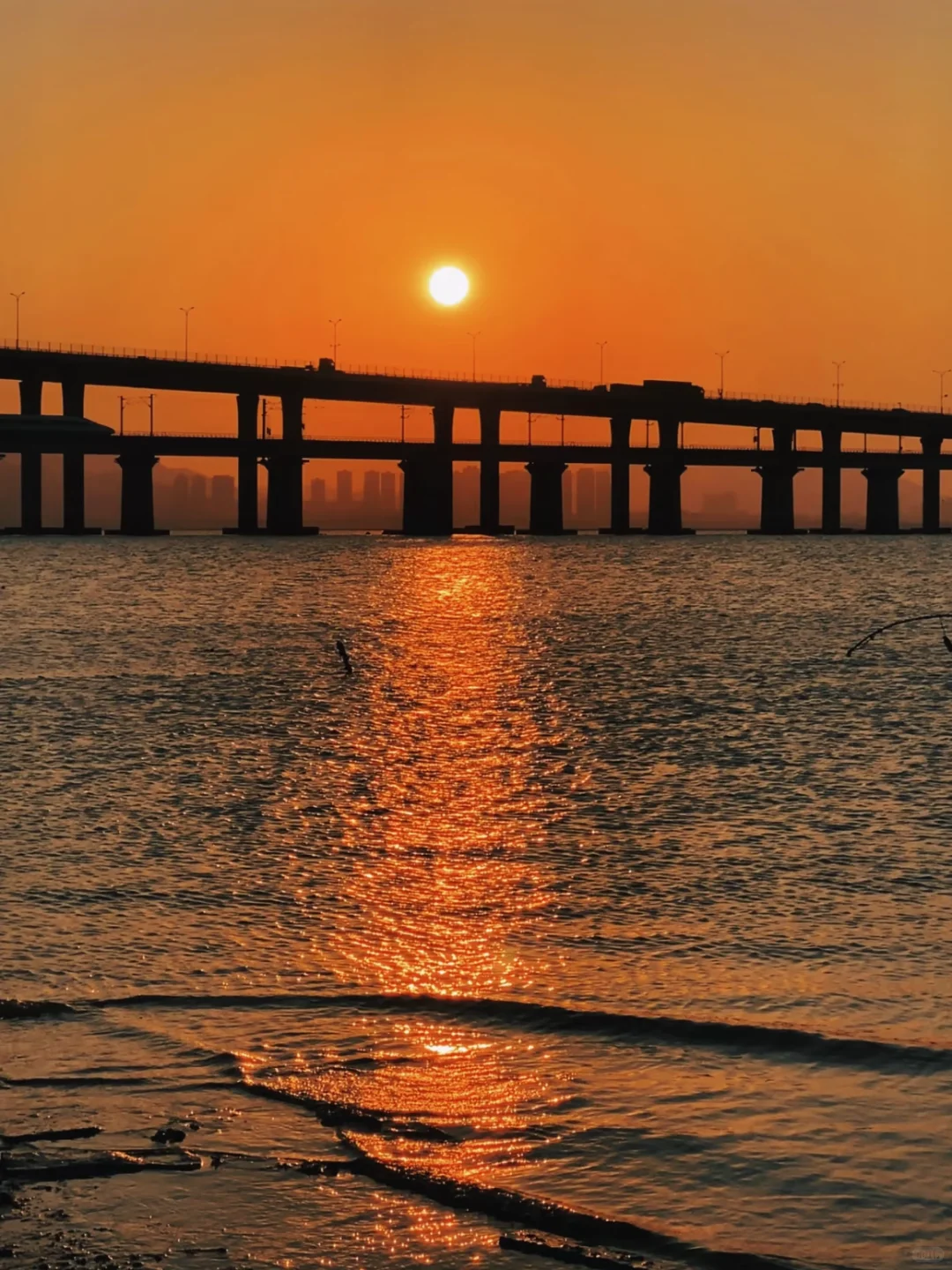 厦门旅游真不是想的那样💔能救一个是一个