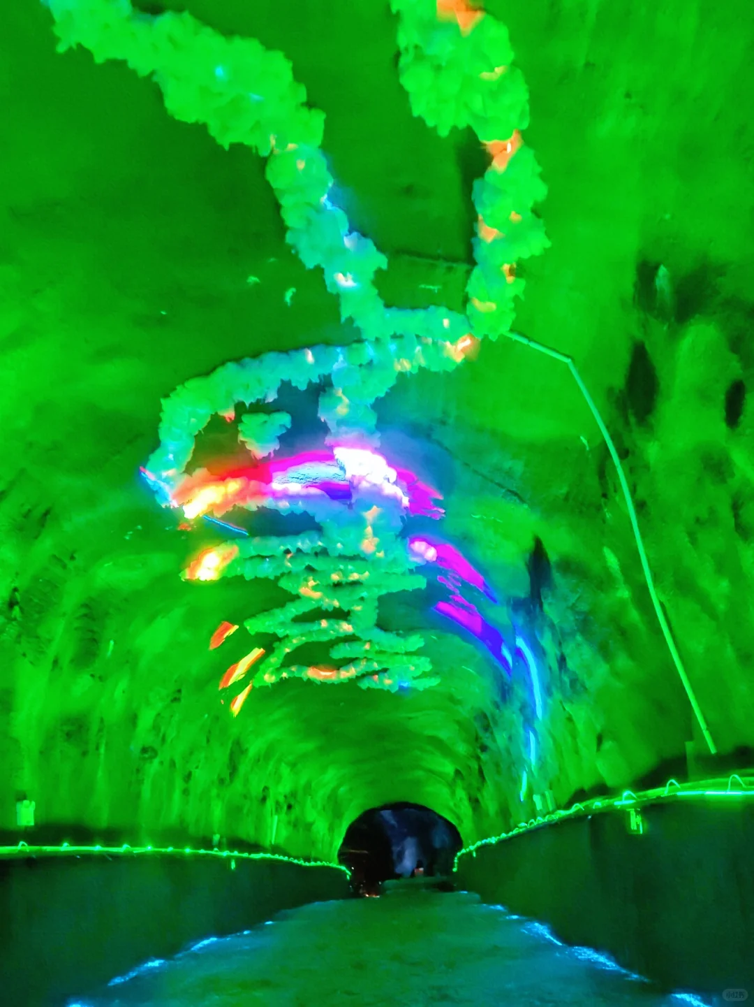 三刷朝天吼刚回‼️漂流攻略看这一篇就够了