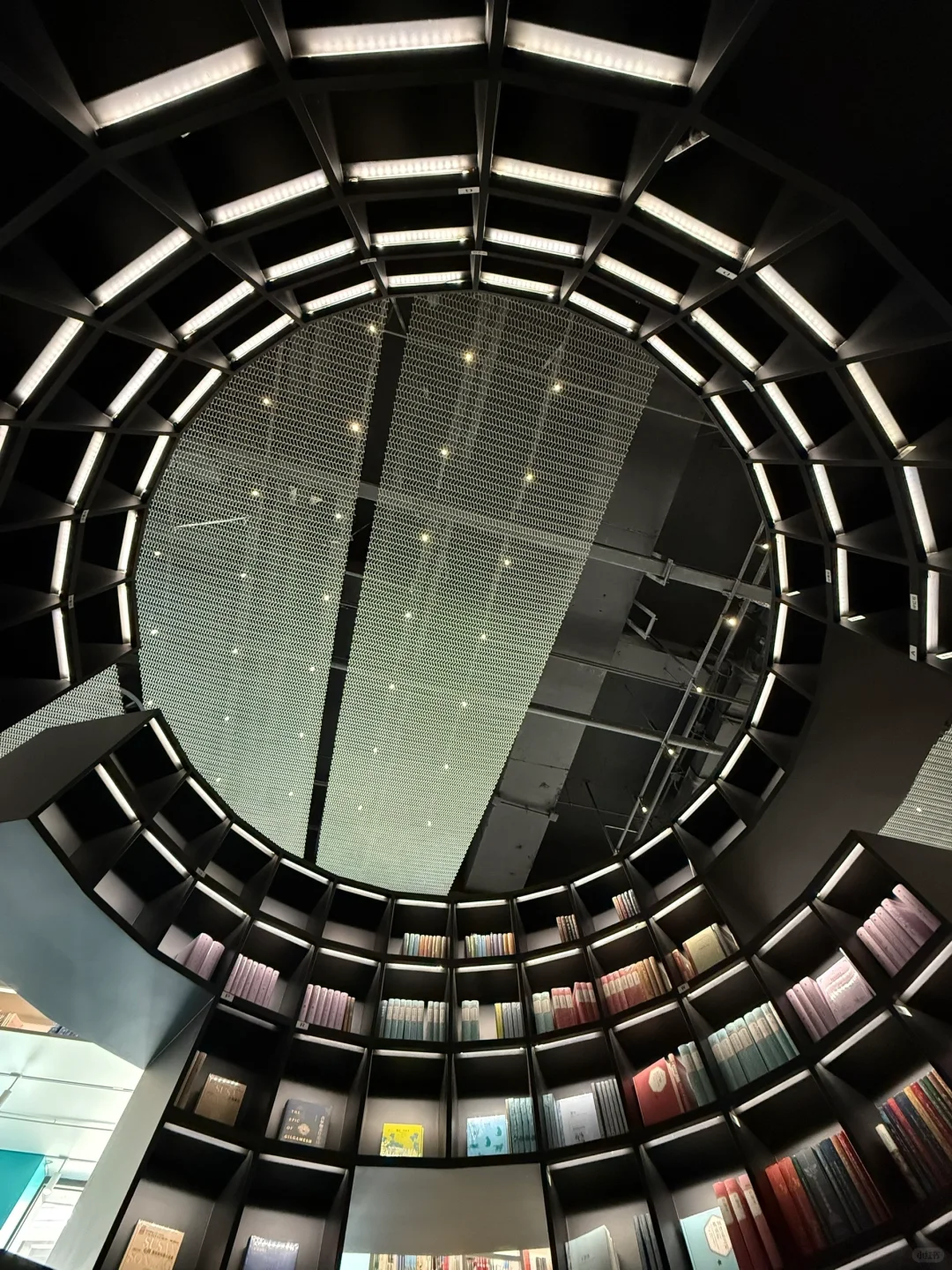 迄今为止最震撼的一条Citywalk路线出现了！