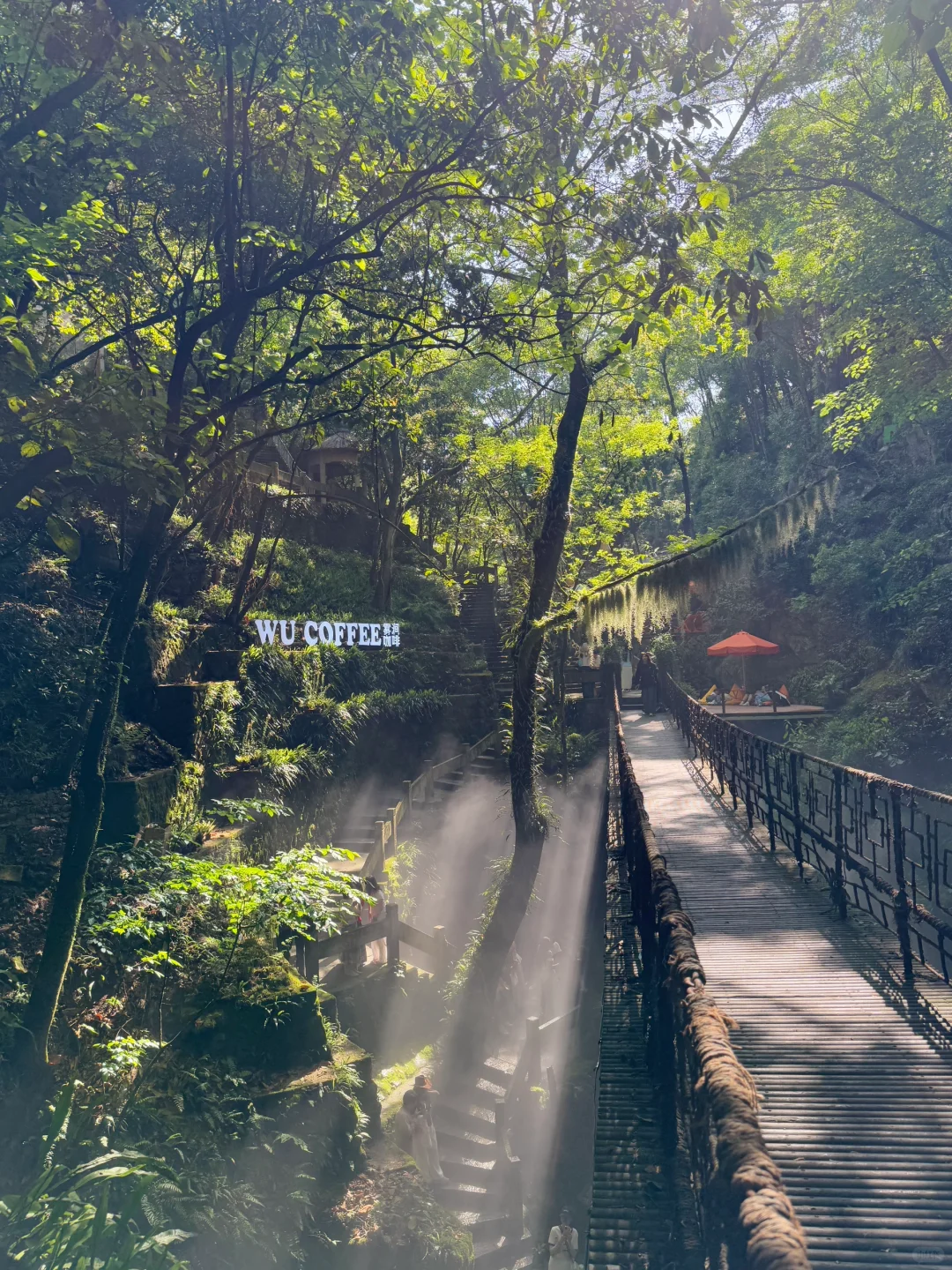 小红书跟风zui成功的一次🍃！！！