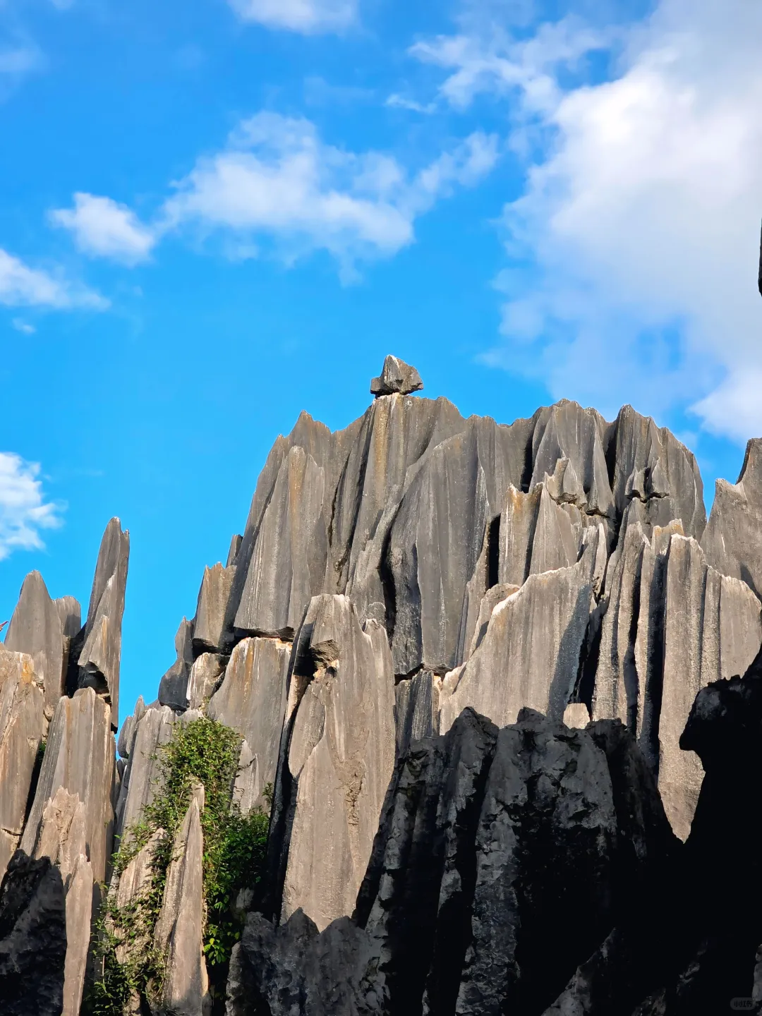 挑战全网最美石林|双彩虹下的阿诗玛🌈