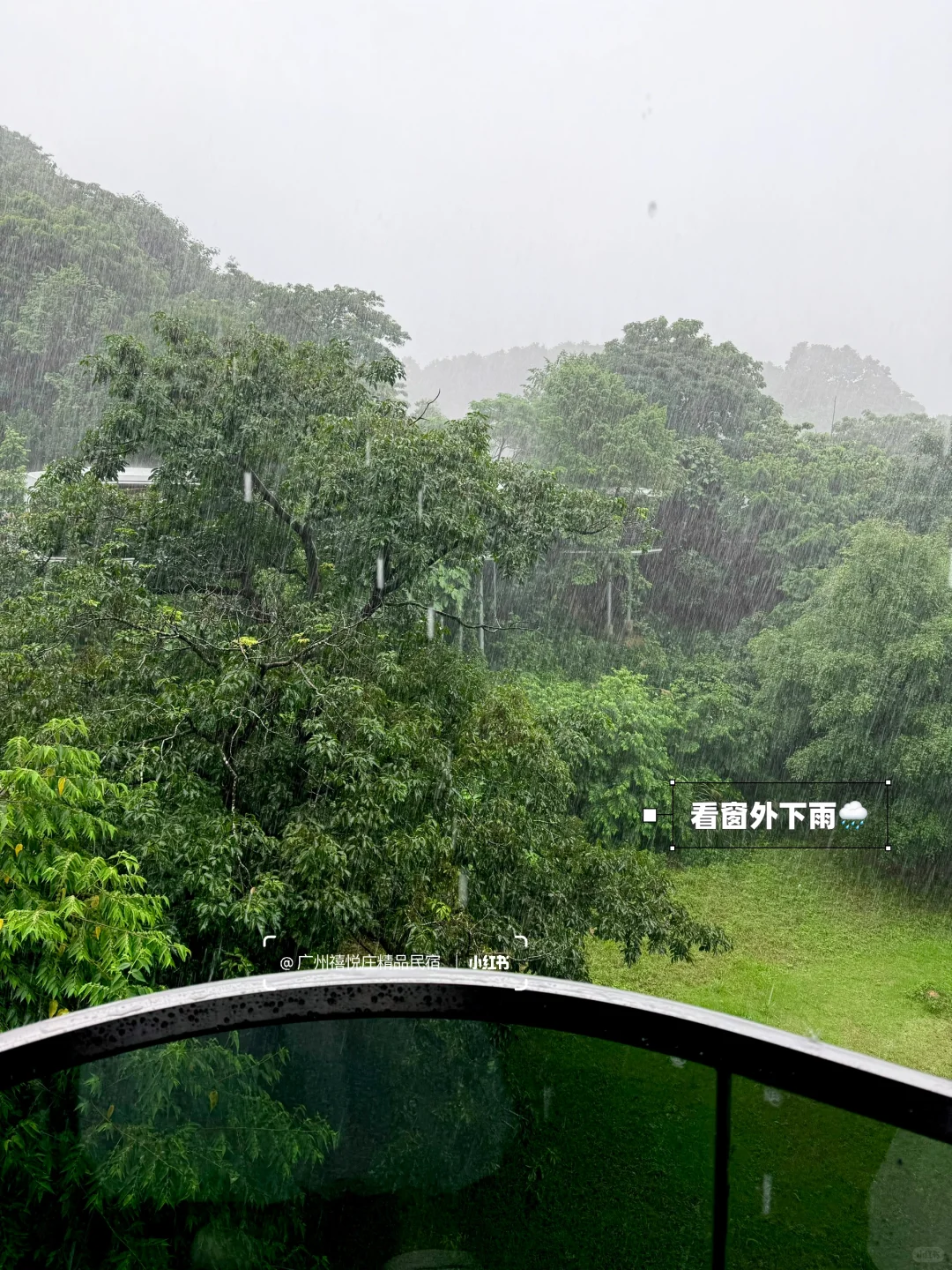 深圳1h，超适合遛娃的从化避世景区☁️🍃🌳