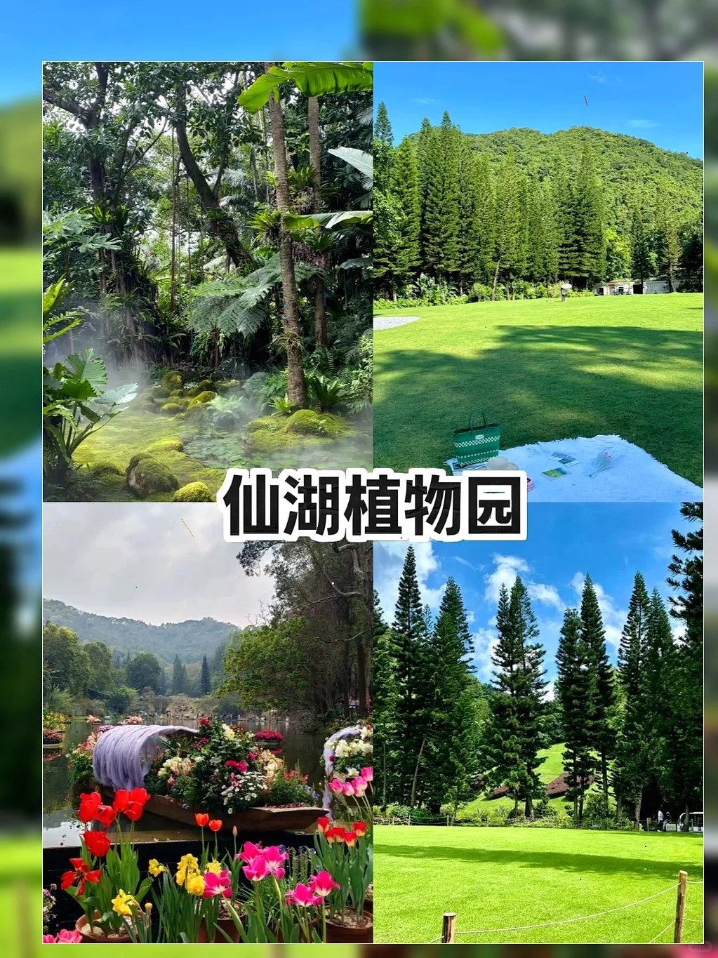 深圳旅游攻略 | 轻松不绕路超省心😎