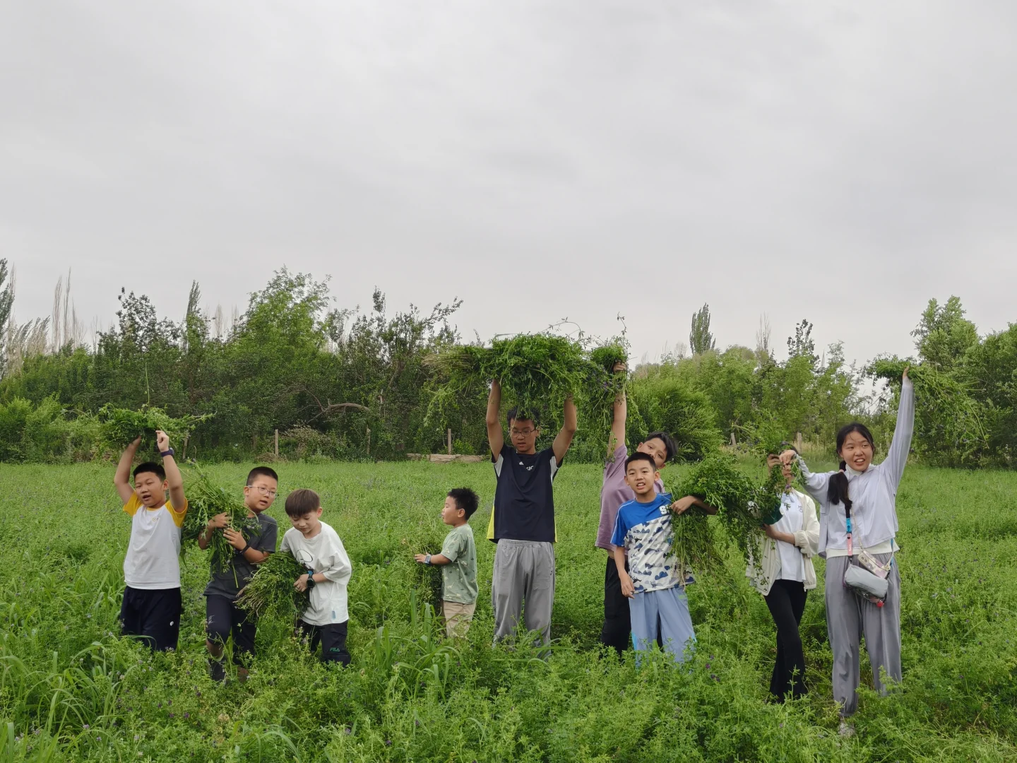敦煌农垦研学，红枣博物馆奇遇记
