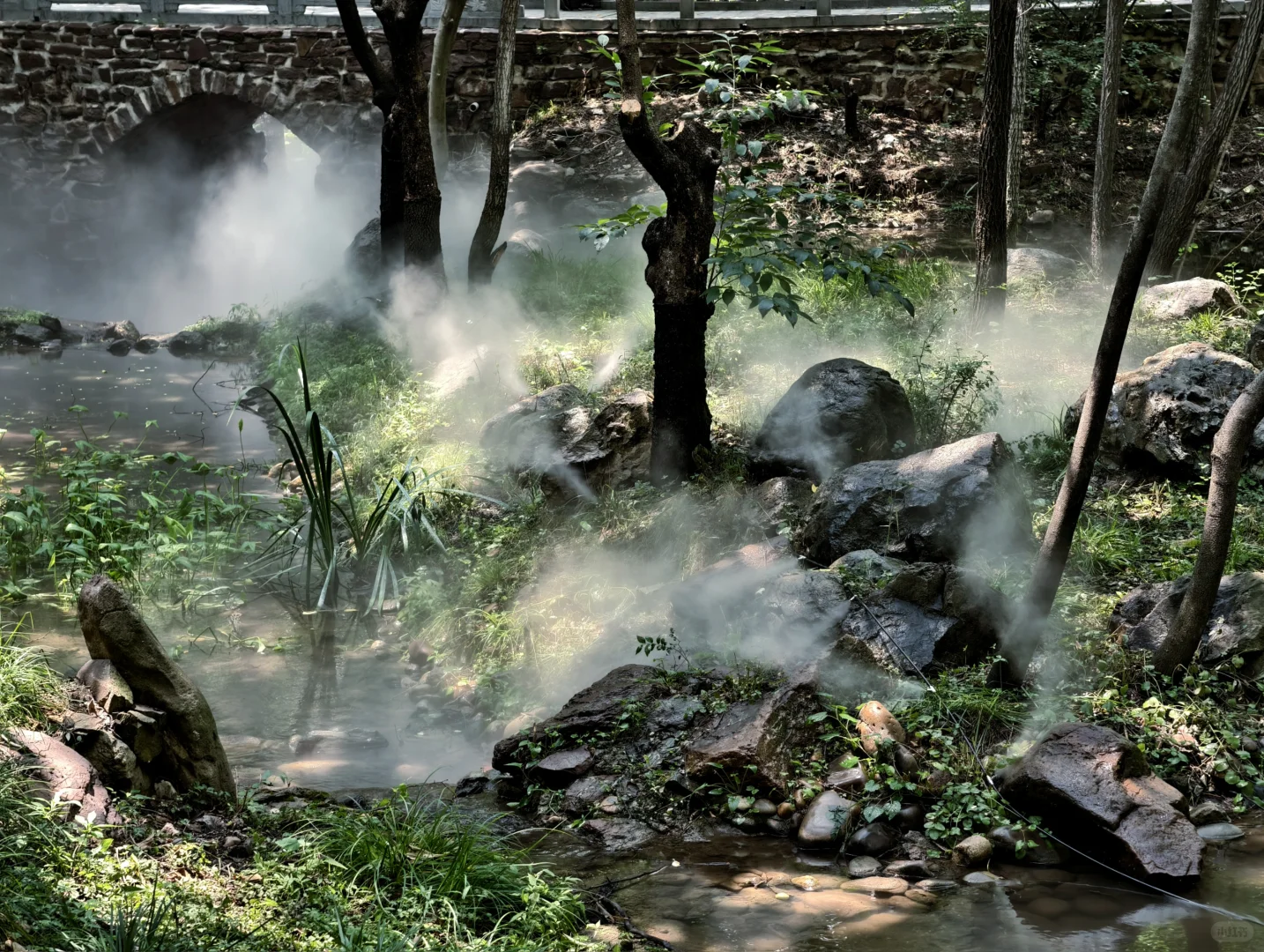 石家庄｜这是什么样的人间仙境
