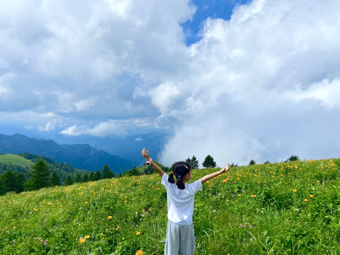 18°C的石家庄，岂止是避暑