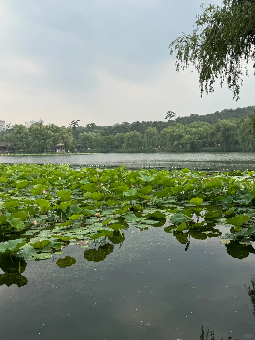 避暑山庄、小布达拉宫打卡