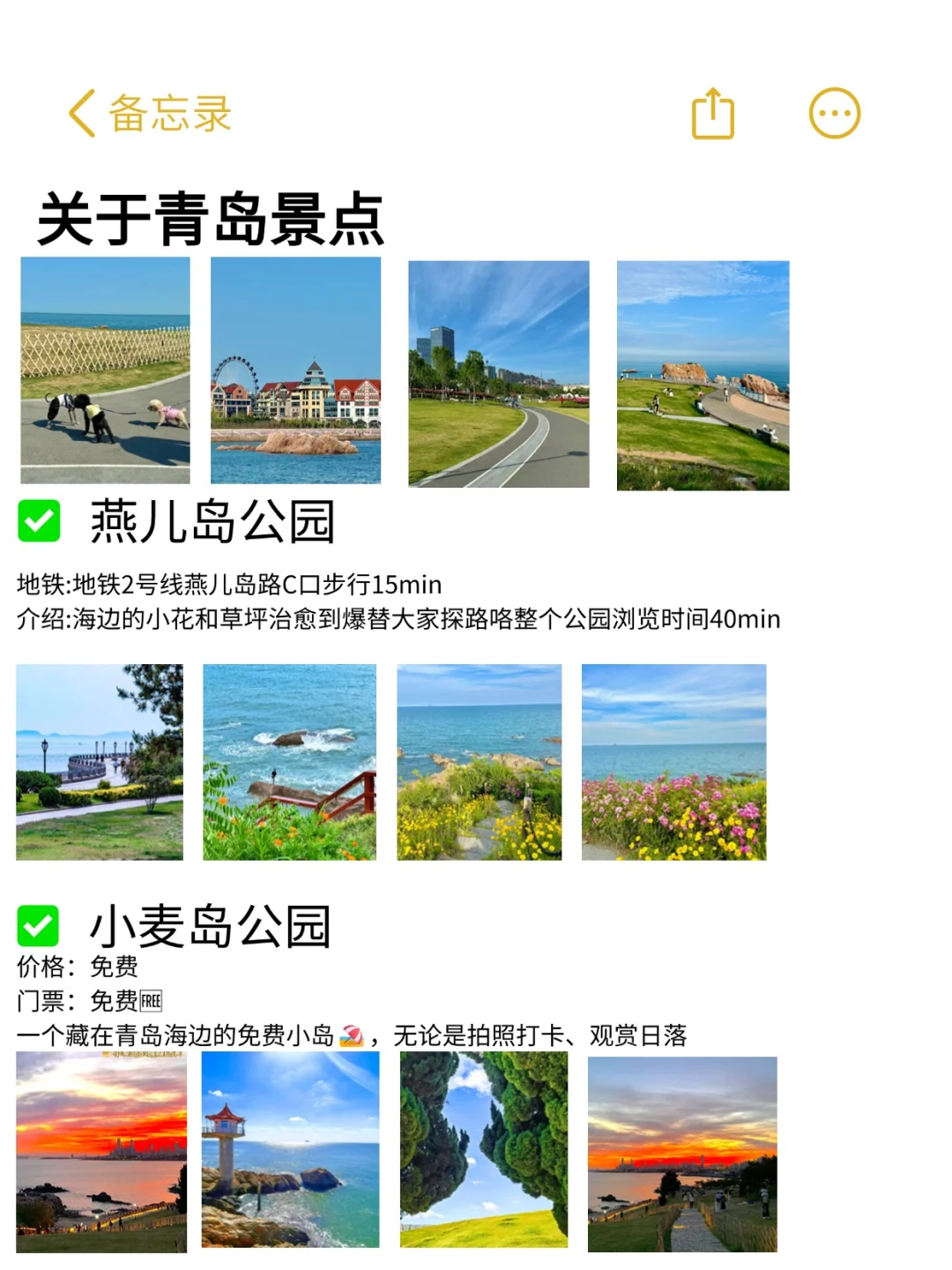 青岛本地人写的旅游攻略