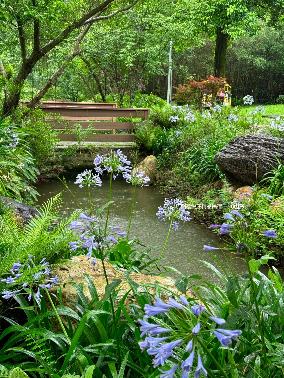 深圳1h，超适合遛娃的从化避世景区☁️🍃🌳