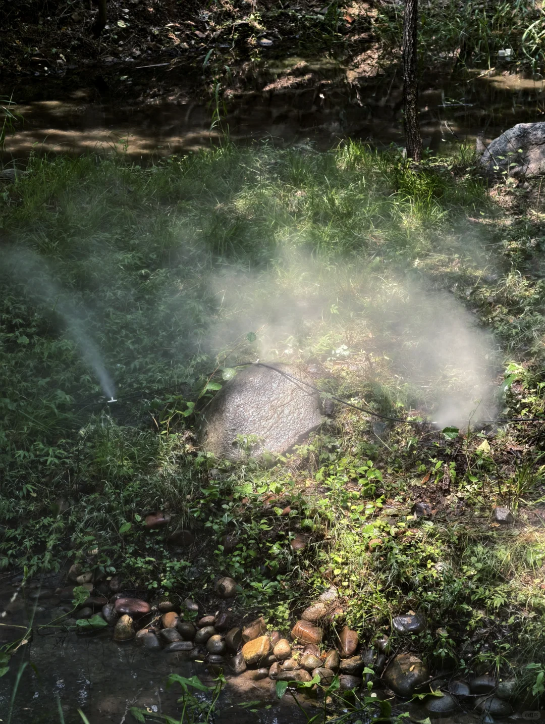 石家庄｜这是什么样的人间仙境