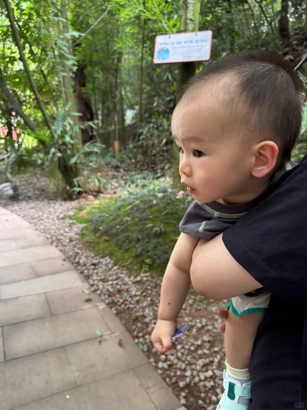 碧峰峡会惩罚每一个不做攻略的家长!