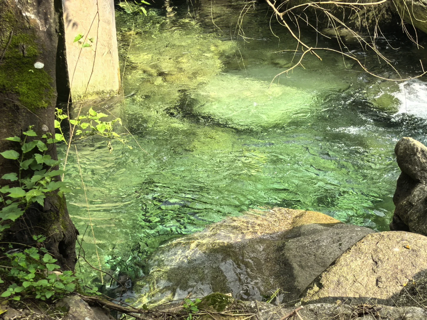 香粉乡“果冻水”封神了！美到想私藏！
