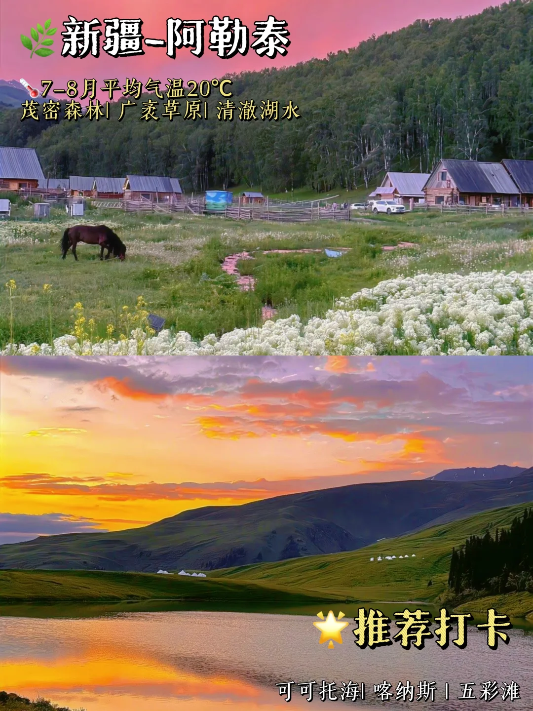 暑假超凉快的避暑旅游地❗再不看就晚了😭