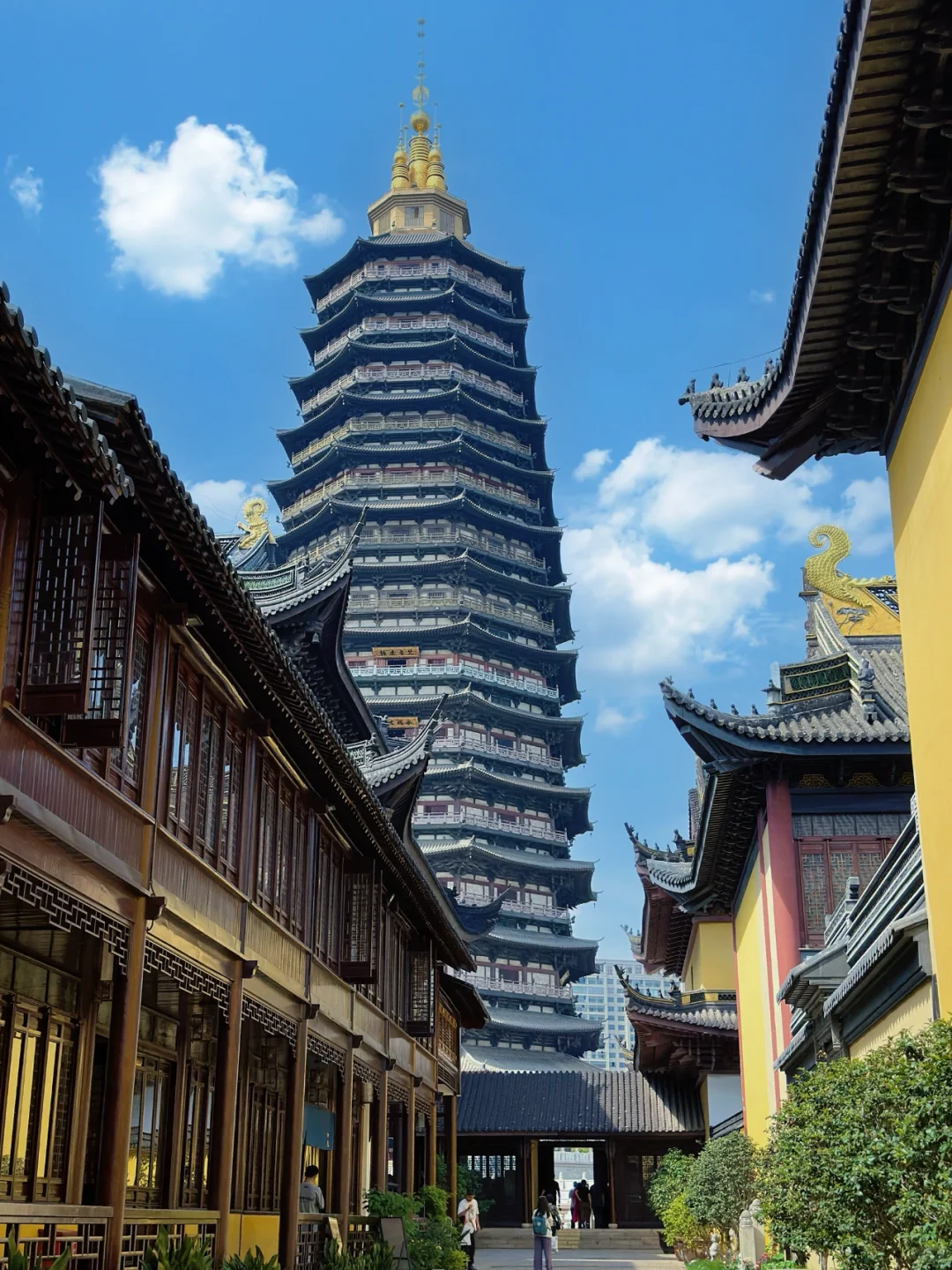 常州｜天宁禅寺肯定要去看看的！