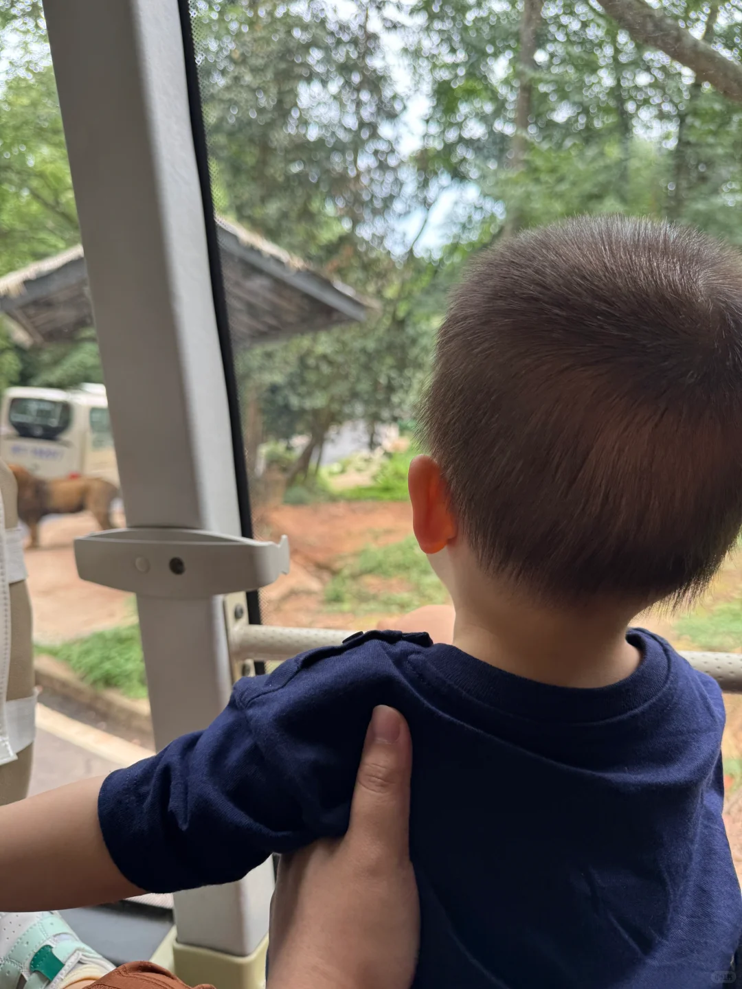 碧峰峡会惩罚每一个不做攻略的家长!