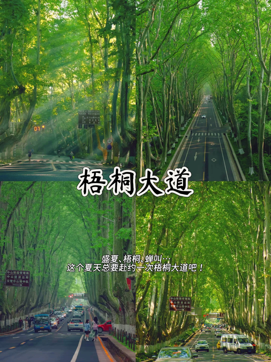 南京必打卡🔥这9个地方没去等于白来😭速码