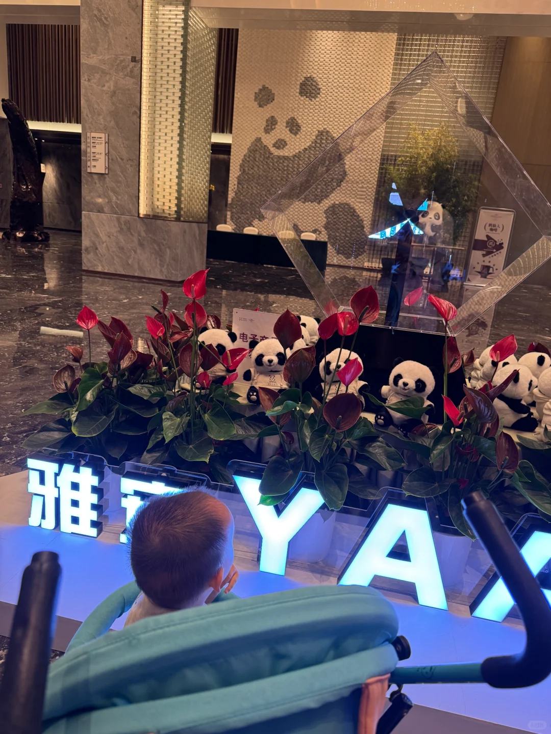 碧峰峡会惩罚每一个不做攻略的家长!