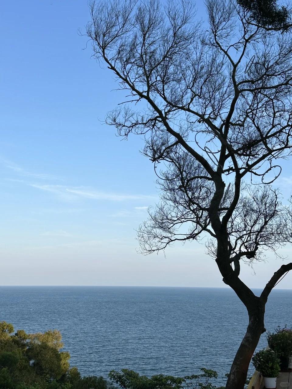 别再不做攻略去海陵岛了❗️这份作业赶快收藏