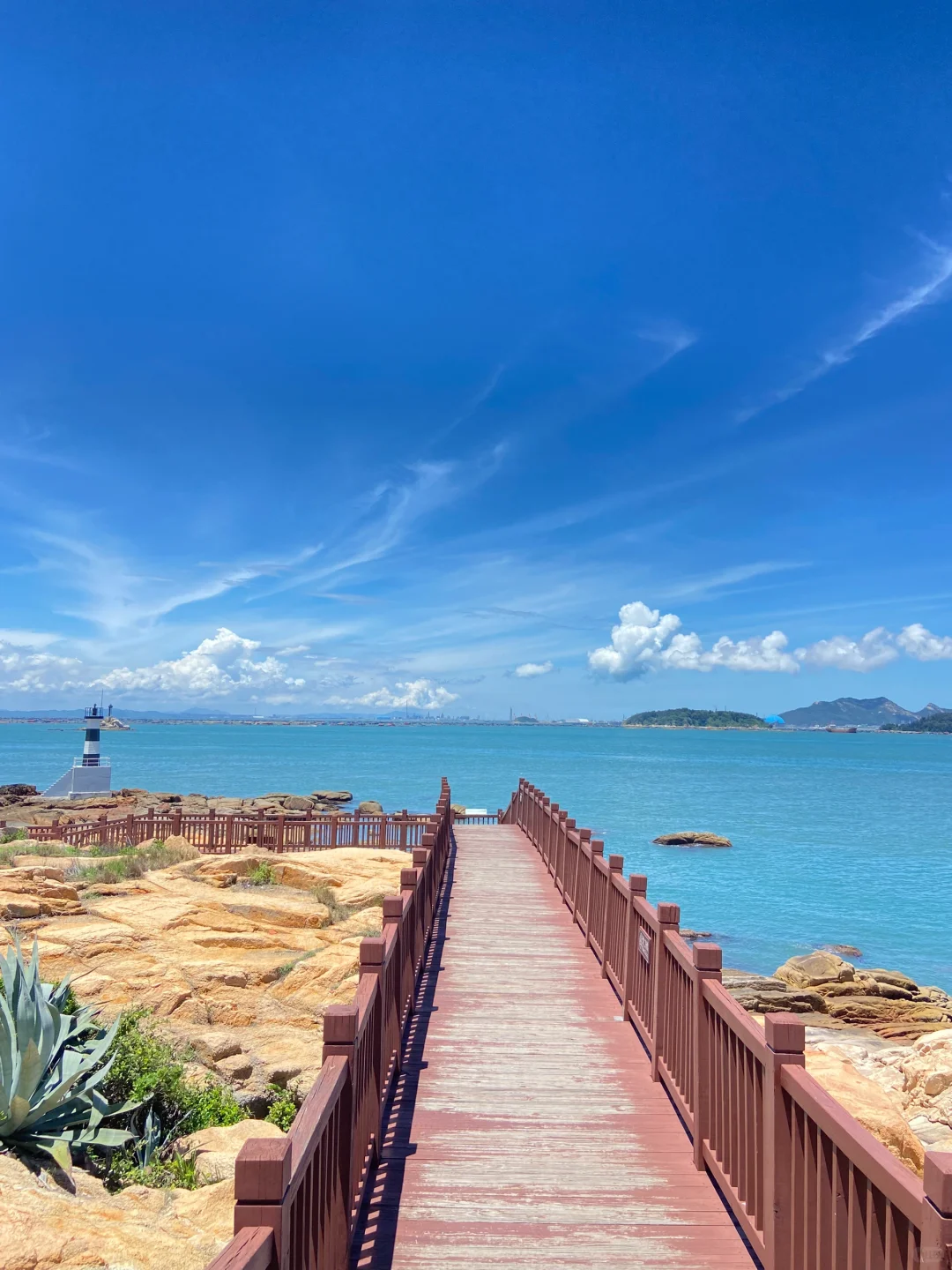 东山岛|为了这个🕳️花45🎫去探索不一样的海