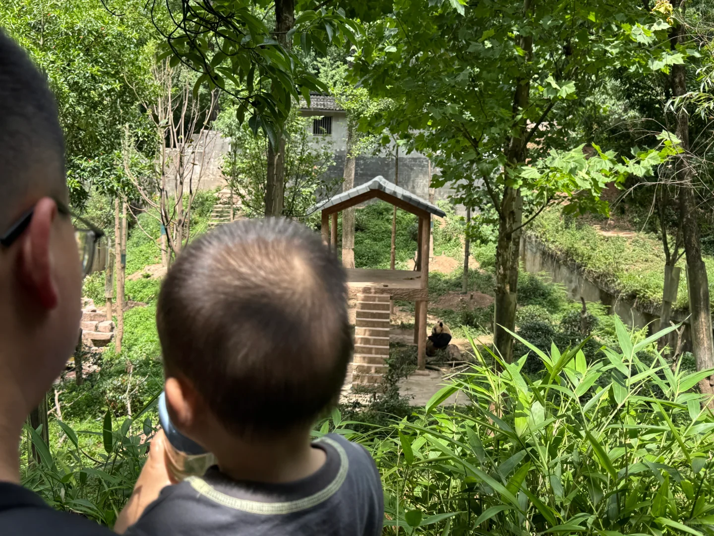 碧峰峡会惩罚每一个不做攻略的家长!