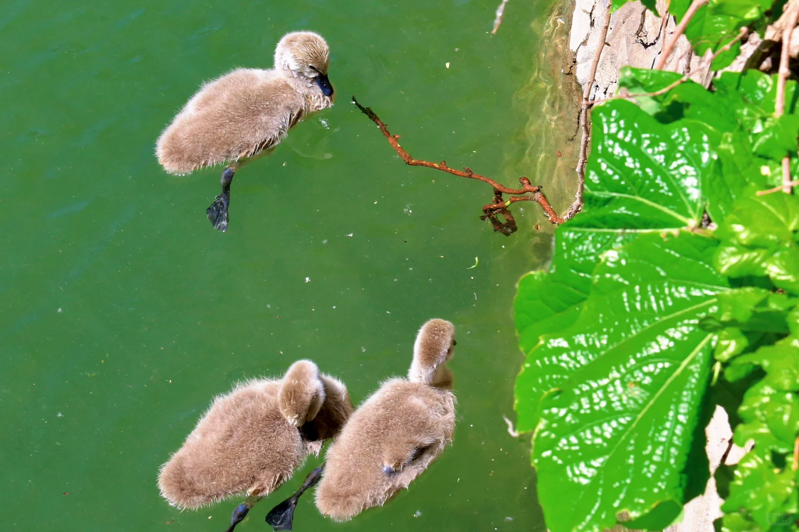 颐和园，太美了。