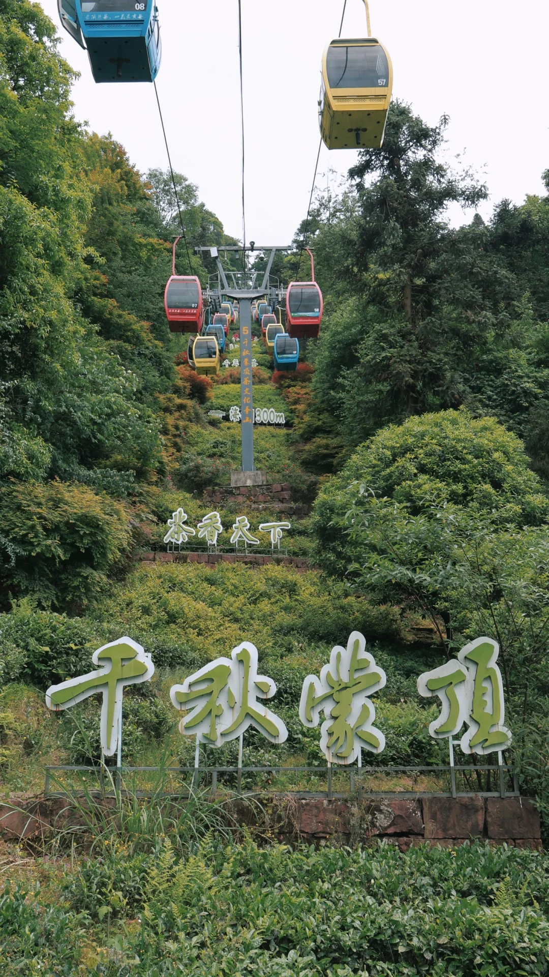 📍雅安·蒙顶山||茶韵千年，云游蒙顶