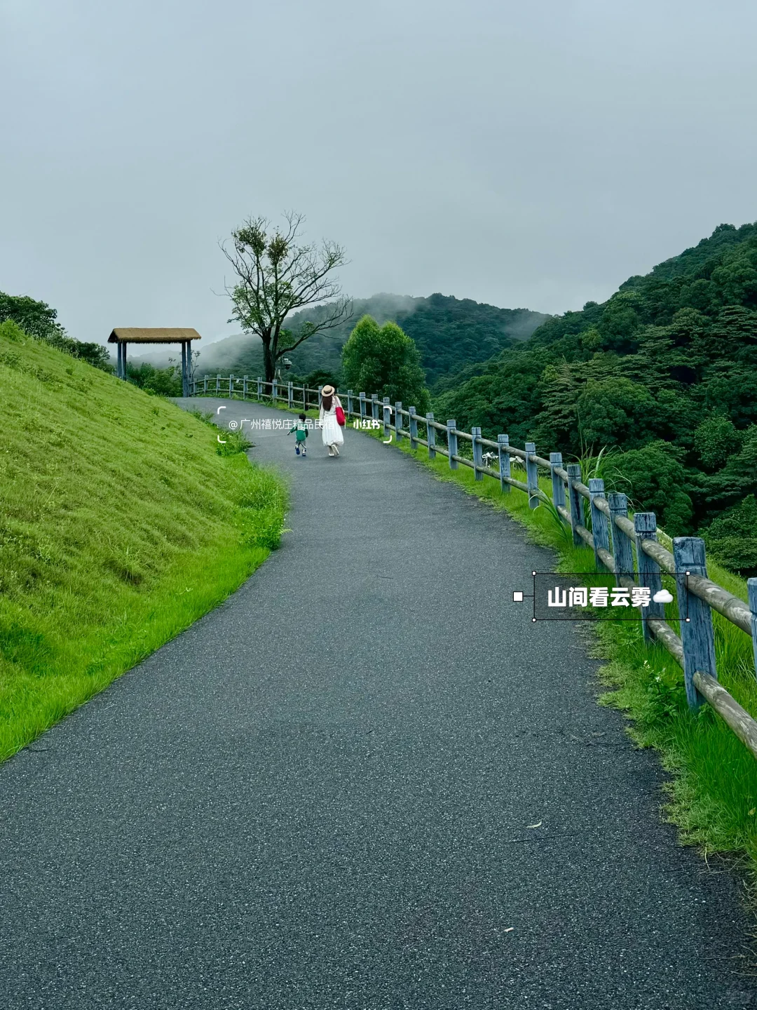 深圳1h，超适合遛娃的从化避世景区☁️🍃🌳
