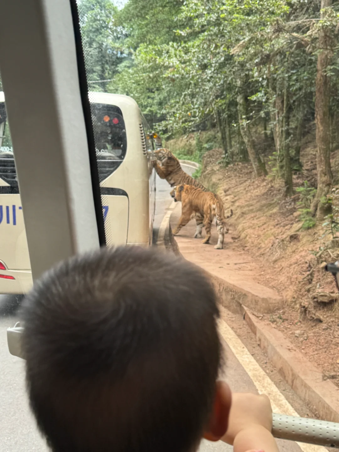 碧峰峡会惩罚每一个不做攻略的家长!