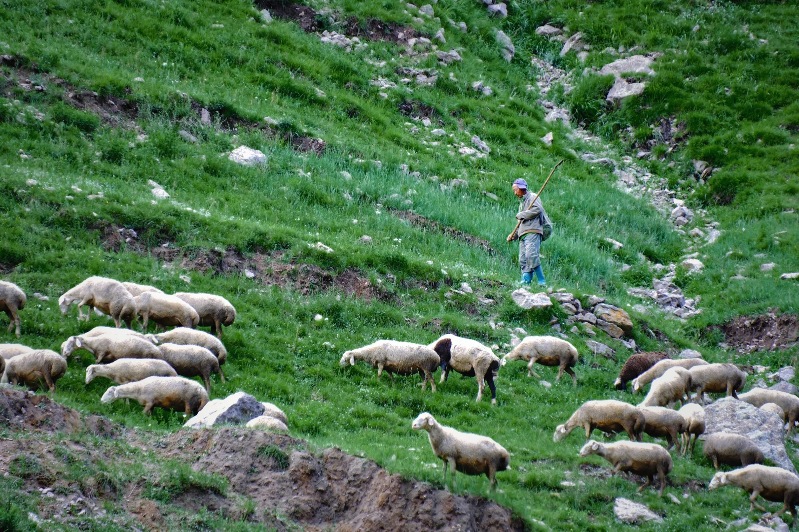 🤫不用去瑞士,这里就有触手可及的自由🍃