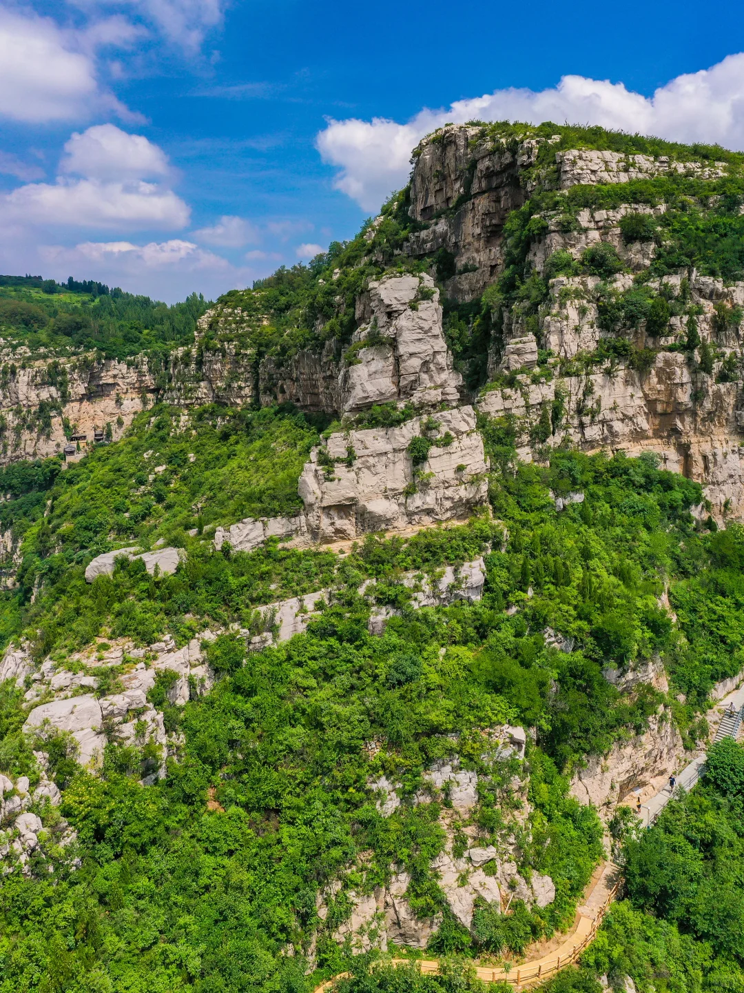 夏天请停止对我的“烤验”🍃深山避暑指南